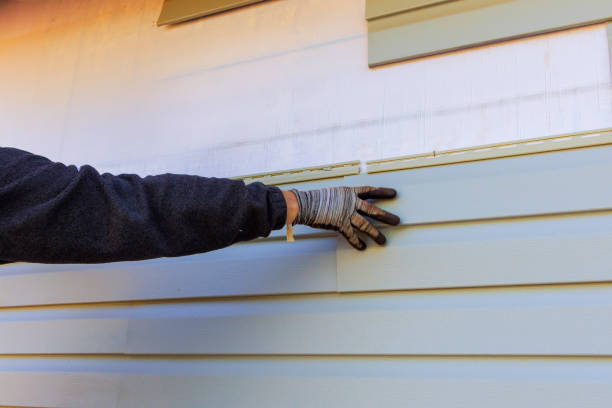 Best Historical Building Siding Restoration  in East Palestine, OH